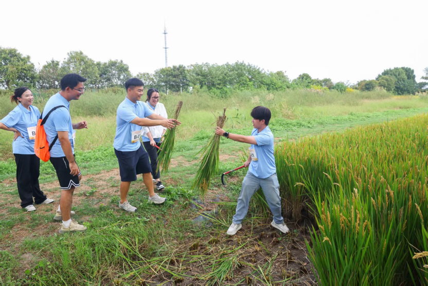 分获A路线, om, src